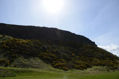 DSC_7344 (Large).JPG